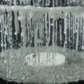 2009 02 17 023.JPG